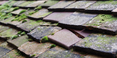 Melbourn roof repair costs
